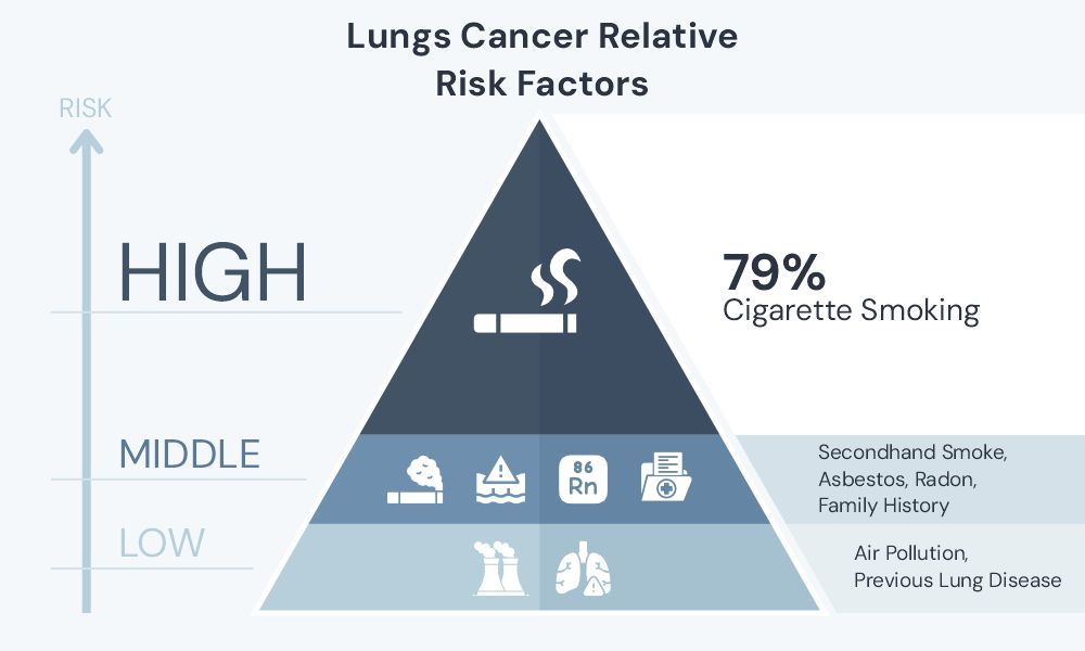 A diagram showing the relative risk factors for developing lung cancer with smoking being the most common cause