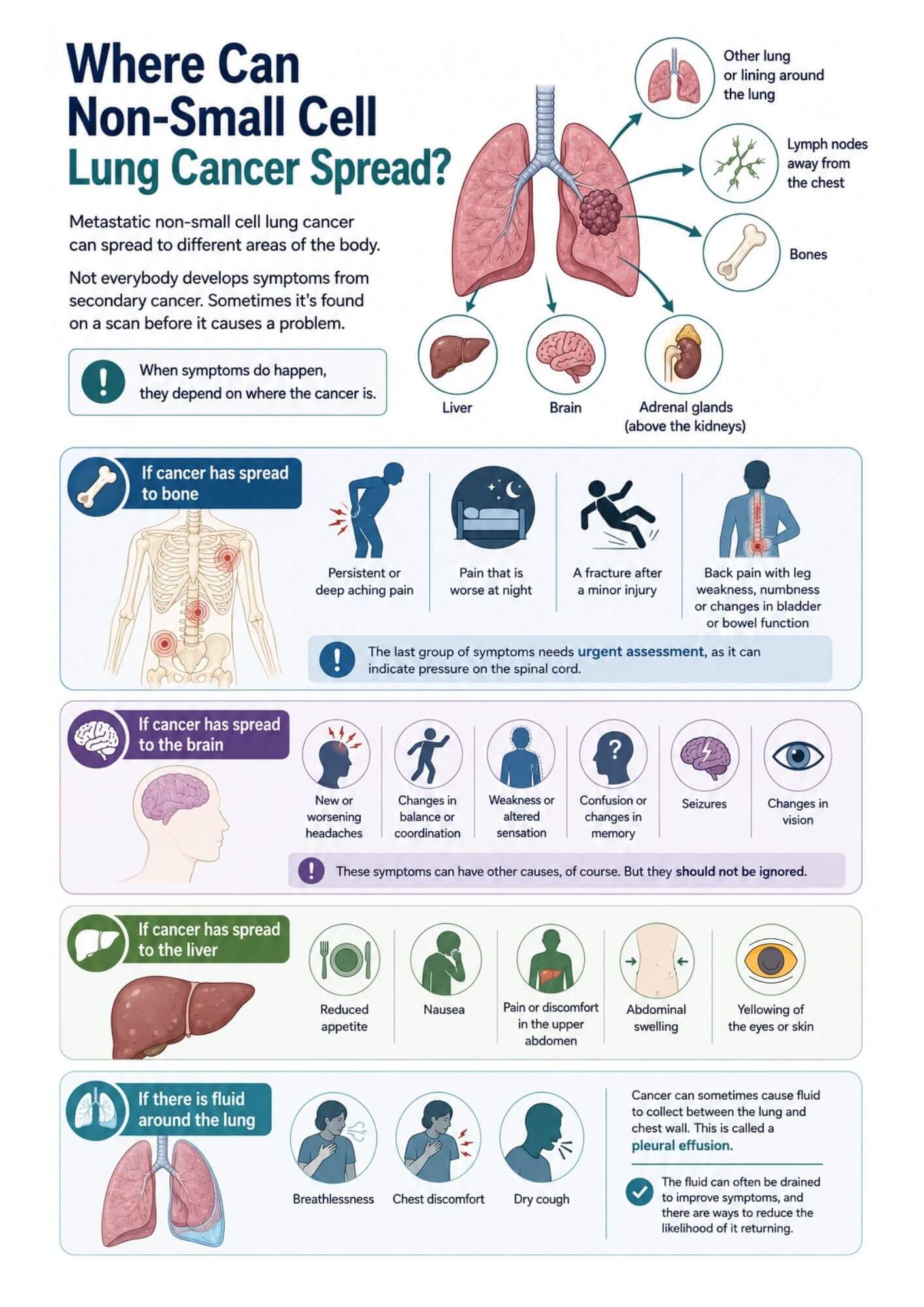 Where can non-small cell lung cancer spread?
