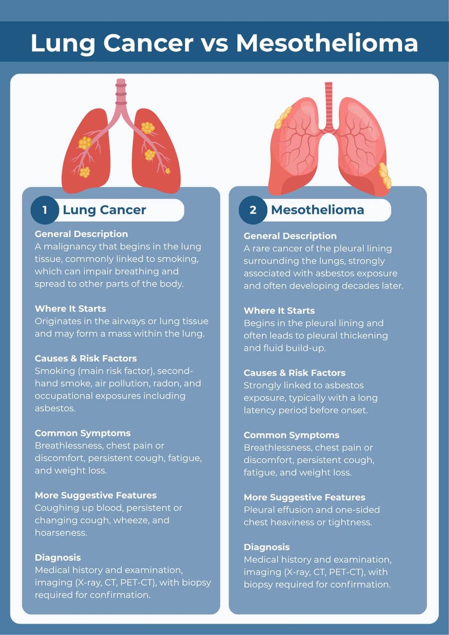 Lung Cancer vs Mesothelioma